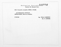 Corynelia oreophila image